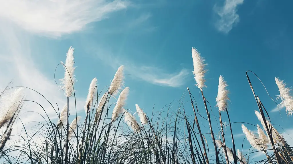 登山穿什麼鞋？